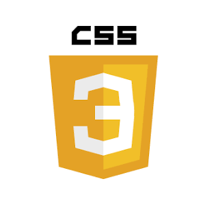 CSS